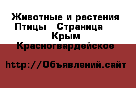 Животные и растения Птицы - Страница 2 . Крым,Красногвардейское